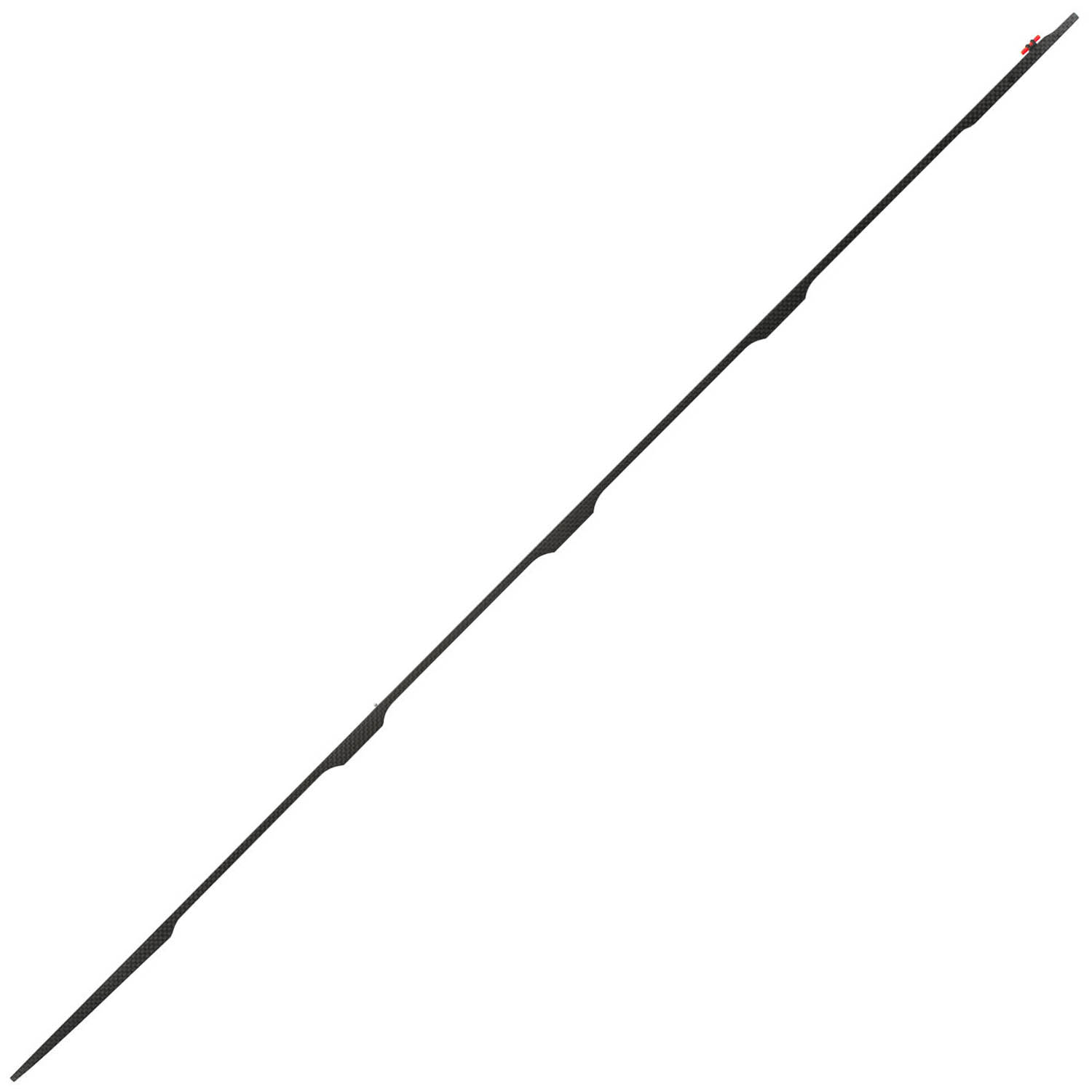 Carbon rib 2025